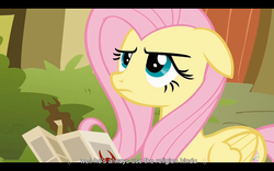 Size: 1024x640 | Tagged: safe, screencap, fluttershy, pegasus, pony, g4, putting your hoof down, female, hindu, hinduism, mare, youtube caption