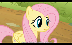 Size: 1024x640 | Tagged: safe, screencap, fluttershy, pegasus, pony, g4, putting your hoof down, female, mare, solo, youtube caption