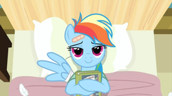 Size: 1678x942 | Tagged: safe, screencap, rainbow dash, pegasus, pony, g4, read it and weep, season 2, bandaid, book, cute, dashabetes, female, lidded eyes, looking at you, mare, solo