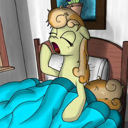 Size: 1200x1200 | Tagged: safe, artist:pterocorn, junebug, earth pony, pony, g4, ask, bed, female, junebug answers, mare, morning ponies, solo, tumblr, yawn