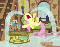 Size: 500x395 | Tagged: safe, screencap, angel bunny, fluttershy, pegasus, pony, g4, ponyville confidential, season 2, animated, cropped, crying, female, flailing, fluttershy's cottage, hoofy-kicks, loop, lying down, nose in the air, ocular gushers, on back, open mouth, solo