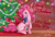 Size: 1800x1218 | Tagged: safe, artist:amenoo, pinkie pie, earth pony, pony, g4, christmas, female, ribbon, solo