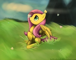 Size: 1250x1000 | Tagged: safe, artist:bel-assa, fluttershy, butterfly, pegasus, pony, g4, female, mare, solo