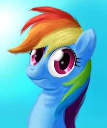 Size: 669x800 | Tagged: safe, rainbow dash, pony, g4, bunchie, female, solo