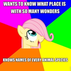 Size: 798x800 | Tagged: safe, fluttershy, g4, filly, meme, text