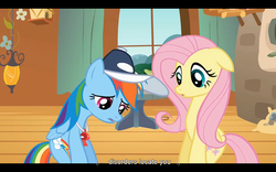 Size: 1024x640 | Tagged: safe, screencap, fluttershy, rainbow dash, pony, g4, hurricane fluttershy, coach rainbow dash, female, in soviet russia, youtube caption