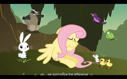 Size: 1024x640 | Tagged: safe, screencap, angel bunny, fluttershy, badger, bird, mouse, pegasus, pony, g4, hurricane fluttershy, season 2, chickadee (bird), duckling, female, mare, purple martin, youtube caption