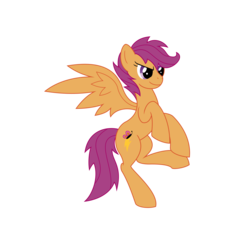 Size: 5000x4844 | Tagged: safe, artist:skyraptor94, scootaloo, g4, absurd resolution, adult, older