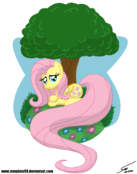 Size: 900x1140 | Tagged: safe, artist:template93, fluttershy, pony, g4, female, simple background, solo, transparent background