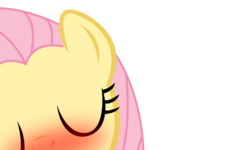 Size: 1800x1080 | Tagged: safe, artist:shadyhorseman, fluttershy, pony, g4, blushing, eyes closed, female, kissing, mare, offscreen character, pov, simple background, smooch, solo, transparent background, vector