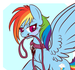 Size: 400x375 | Tagged: safe, artist:lulubell, rainbow dash, pegasus, pony, g4, blushing, bust, collar, digital art, female, femsub, leash, pet play, solo, submissive