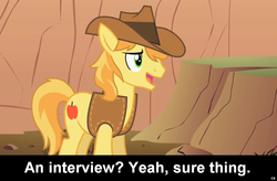 Size: 1024x672 | Tagged: safe, braeburn, earth pony, pony, comic:celestia's servant interview, g4, caption, interview, male, meta, stallion