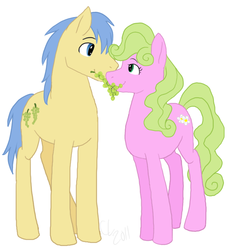 Size: 689x751 | Tagged: safe, artist:cartoonlion, daisy, flower wishes, goldengrape, sir colton vines iii, earth pony, pony, g4, daisygrape, female, grapes, male, mare, shipping, stallion, straight