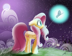 Size: 2492x1945 | Tagged: safe, artist:twintailsinc, fluttershy, butterfly, g4, night