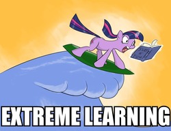 Size: 900x690 | Tagged: safe, artist:rankao, twilight sparkle, g4, book, extreme, extreme learning, image macro, solo, surfing