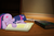 Size: 900x599 | Tagged: safe, artist:biodegradablebox, artist:bri-sta, artist:somepony, twilight sparkle, g4, biology, book, cute, daaaaaaaaaaaw, irl, pen, photo, ponies in real life, sleeping, vector