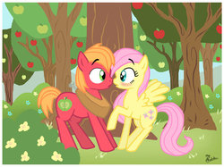 Size: 600x448 | Tagged: safe, artist:thephoebster, big macintosh, fluttershy, earth pony, pony, g4, blushing, colt, filly, imminent kissing, male, ship:fluttermac, shipping, stallion, straight