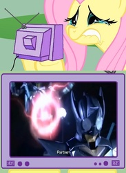 Size: 563x771 | Tagged: safe, fluttershy, pony, g4, exploitable meme, fluttercry, kamen rider, kamen rider kabuto, kamen rider kick hopper, kamen rider punch hopper, meme, tv meme