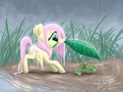 Size: 1024x768 | Tagged: safe, artist:shadeysix, fluttershy, tortoise, g4, cute, duo, filly, micro, mouth hold, rain, shyabetes, wet, wet mane