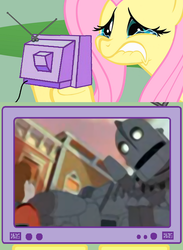 Size: 563x771 | Tagged: safe, fluttershy, human, pony, g4, exploitable meme, hogarth hughes, meme, the iron giant, tv meme