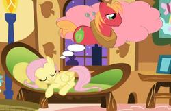 Size: 1112x719 | Tagged: safe, big macintosh, fluttershy, earth pony, pony, g4, dream, happy, male, ship:fluttermac, shipping, sleeping, stallion, straight