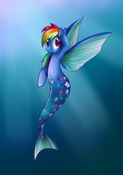 Size: 993x1407 | Tagged: safe, artist:rayne-is-butts, rainbow dash, hippocampus, merpony, g4, female, solo, species swap, underwater