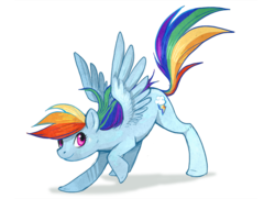 Size: 800x579 | Tagged: safe, artist:flying-fox, artist:kitfoxfire, rainbow dash, g4, female