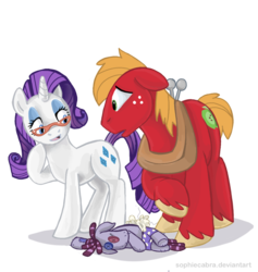 Size: 902x950 | Tagged: safe, artist:spainfischer, big macintosh, rarity, smarty pants, earth pony, pony, g4, glasses, male, stallion