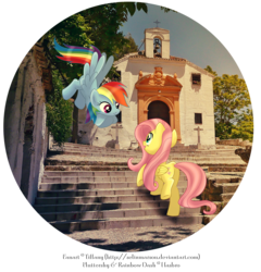 Size: 1200x1250 | Tagged: safe, artist:tiffanymarsou, fluttershy, rainbow dash, pegasus, pony, g4, day, duo, female, flying, folded wings, irl, looking at each other, looking at someone, mare, open mouth, open smile, outdoors, photo, ponies in real life, smiling, spread wings, wings