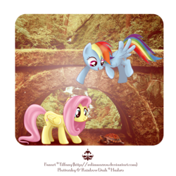 Size: 1600x1600 | Tagged: dead source, safe, artist:tiffanymarsou, fluttershy, rainbow dash, turtle, g4, archway, female, irl, photo, ponies in real life