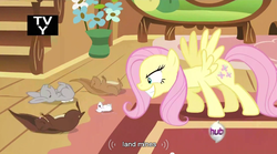 Size: 852x474 | Tagged: safe, screencap, fluttershy, mouse, pegasus, pony, rabbit, squirrel, g4, putting your hoof down, animal, female, hub logo, logo, mare, the hub, tv rating, tv-y, youtube caption