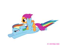 Size: 2000x1500 | Tagged: safe, artist:nightmaremoons, rainbow dash, scootaloo, pegasus, pony, g4, female, ponies riding ponies, riding, scootaloo riding rainbow dash, scootalove, simple background, transparent background, vector