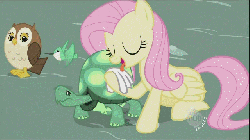 Size: 640x360 | Tagged: safe, screencap, fluttershy, hummingway, tank, hummingbird, owl, tortoise, g4, may the best pet win, season 2, animated, cleaning, eyes closed, hub logo, hug, licking, nuzzling, tongue out, wink