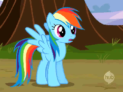 Size: 640x480 | Tagged: safe, screencap, rainbow dash, pony, g4, may the best pet win, animated, blinking, cropped, female, solo