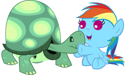 Size: 6000x3600 | Tagged: safe, artist:beavernator, rainbow dash, tank, pony, g4, baby, baby dash, baby pony, cute, dashabetes, female, filly, foal