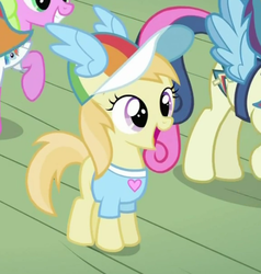 Size: 538x564 | Tagged: safe, screencap, bon bon, daisy, flower wishes, noi, rainbow dash, sweetie drops, g4, season 2, the mysterious mare do well, clothes, cold opening, fan, fanclub, fangirl, female, filly, happy, hat, heart, shirt, t-shirt, wings