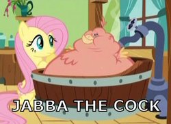 Size: 430x312 | Tagged: safe, edit, edited screencap, screencap, fluttershy, philomena, bird, hutt, phoenix, pony, a bird in the hoof, g4, season 1, duo, female, inflation, jabba the hutt, mare, star wars, swollen, tub