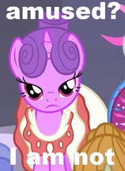 Size: 421x575 | Tagged: safe, edit, edited screencap, screencap, north star, pony, g4, sweet and elite, caption, clothes, cropped, dress, solo focus, unamused