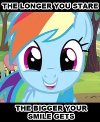 Size: 588x718 | Tagged: safe, edit, edited screencap, screencap, rainbow dash, pegasus, pony, g4, female, image macro, mare, smiling, solo, text, the longer you stare