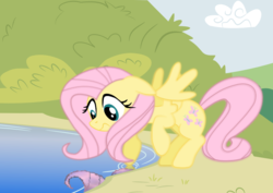 Size: 1052x744 | Tagged: safe, artist:tgolyi, fluttershy, g4, svg, vector