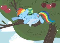 Size: 2738x1966 | Tagged: safe, artist:tgolyi, rainbow dash, tank, g4, apple, apple tree, food, pillow, sleeping, svg, tree