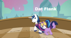 Size: 640x349 | Tagged: safe, edit, edited screencap, screencap, shining armor, twilight sparkle, pony, unicorn, g4, bedroom eyes, caption, dat ass, female, image macro, incest, looking at butt, male, mare, meme, out of context, ship:shiningsparkle, shipping, stallion, straight