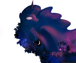 Size: 800x667 | Tagged: safe, artist:electrixocket, princess luna, pony, g4, female, solo