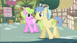 Size: 850x472 | Tagged: safe, screencap, daisy, flower wishes, goldengrape, sir colton vines iii, earth pony, pony, g4, the mysterious mare do well, female, male, mare, ponies standing next to each other, stallion