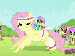 Size: 390x296 | Tagged: safe, screencap, cloud kicker, dizzy twister, fluttershy, merry may, orange swirl, spring melody, sprinkle medley, mouse, rabbit, squirrel, g4, hurricane fluttershy, season 2, animated, cropped, female, hub logo, leg warmers, mask, push-ups, wing hands, wing-ups, wristband