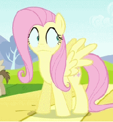 Size: 253x272 | Tagged: safe, screencap, fluttershy, pony, g4, hurricane fluttershy, animated, cropped, female, legs shaking, male, nervous, shaking
