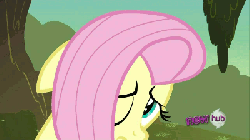Size: 400x225 | Tagged: safe, edit, edited screencap, screencap, fluttershy, pony, g4, hurricane fluttershy, animated, eyelid pull, female, hub logo, image macro, reaction image, solo, why would you do that