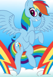 Size: 1750x2506 | Tagged: safe, artist:xscaralienx, rainbow dash, pegasus, pony, g4, female, solo