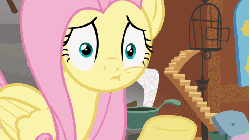 Size: 711x400 | Tagged: safe, screencap, angel bunny, fluttershy, pegasus, pony, g4, putting your hoof down, abuse, angel is a bunny bastard, animated, book, facebooking, female, flutterbuse, mare