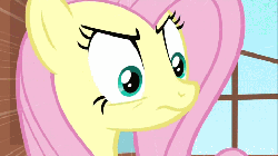 Size: 720x405 | Tagged: safe, screencap, fluttershy, pegasus, pony, g4, animated, bust, female, gif, looking at something, mare, solo, stare, the stare, three quarter view